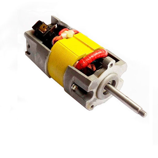 Електродвигун triac s 100.276