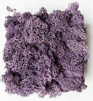 Пурпур. Скандинавський Мох Ягель Стабілізований 0,500 kg