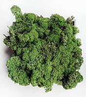 Темно-зелений. Скандинавський Мох Ягель Стабілізований 0,500 kg