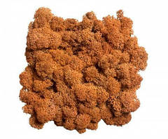 Манго. Скандинавський Мох Ягель Стабілізований 0,500 kg