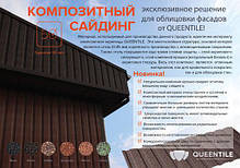 QueenTile C -10 - Композитний лист профнастилу, довжина 2 метри, фото 4