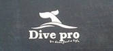 Dive Pro