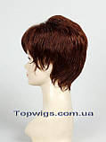 Перука - полусистема для літа Zizi Mono Original кольору червоне дерево, фото 3