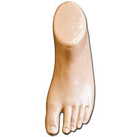 Манекен тілесний ліва стопа ноги з пальцями