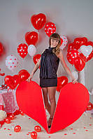 Фотосессия ко Дню святого Валентина "Воздушное настроение" г. Полтава 9
