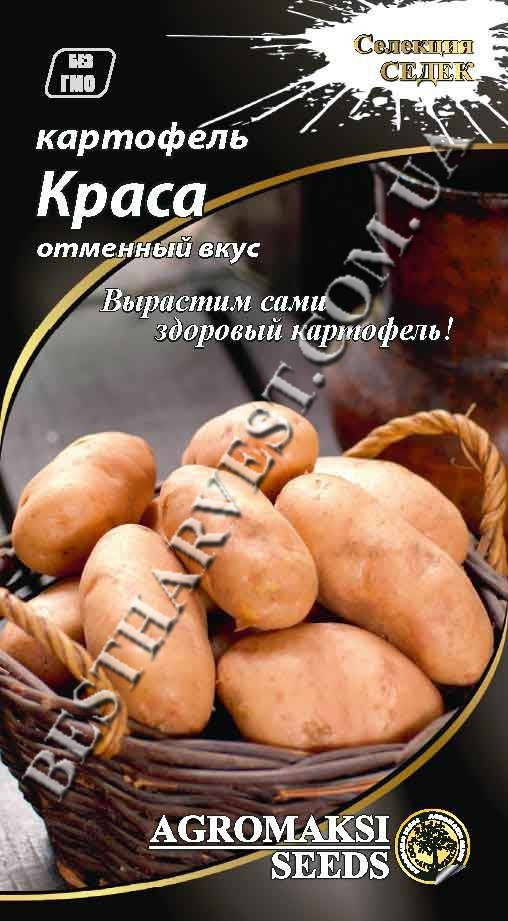 Насіння картоплі «Краса» 0.01 г