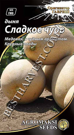 Насіння дині «Солодке диво» 2 г, фото 1
