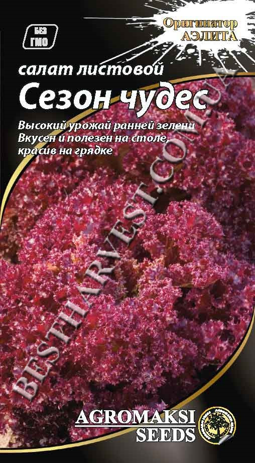 Насіння салату «Сезон чудес» 1 г