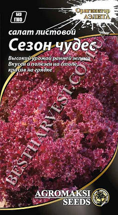 Насіння салату «Сезон чудес» 1 г, фото 1