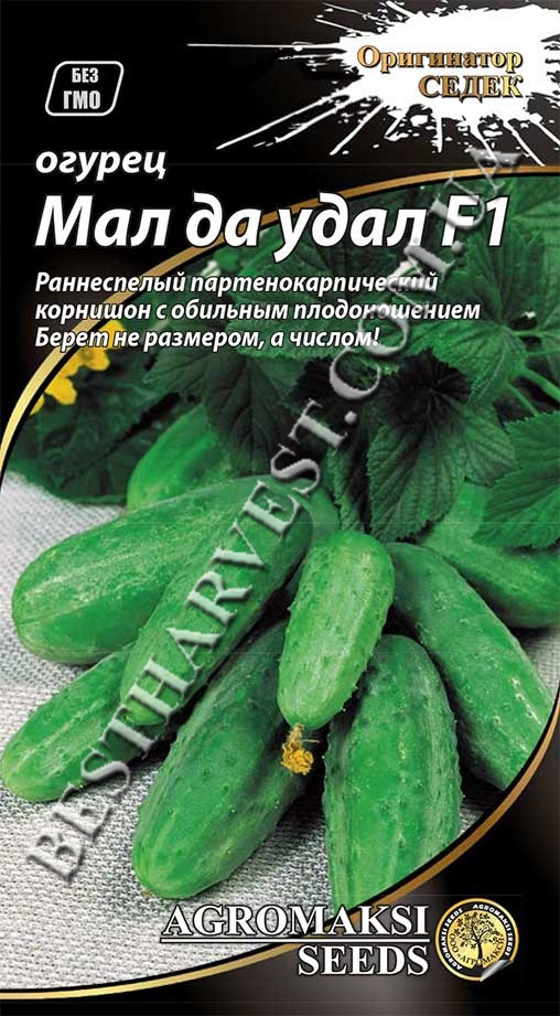 Насіння огірка «Мал да Удал F1» 0.3 г, партенокарпічний