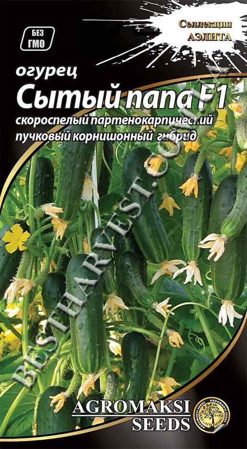 Насіння огірка «Ситий тато F1» 0.3 г, партенокарпічний