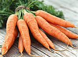 Морква подня Флаке/Flakke, банка 500 грамів, Hortus (Італія), фото 2