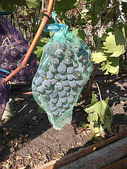 Сітка-мішок, захисна сітка для винограду 22х30, (2 кг)