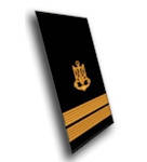 

Погоны-муфта парадные Старший лейтенант, Синий