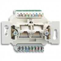Механізм комп'ютерної розетки RJ45 кат.5e, неекранована, 2-гнізда — ABB Busch-Jaeger Elektro