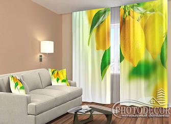 Фото Штори 2,50 м * 2,90 м (карниз 2,90 м)