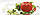 Контейнер Помідор у червоному кольорі Tupperware, фото 2