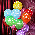 Повітряні латексні кульки в горошок асорті 12" 30 див., фото 2