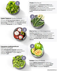 Personal Slim - краплі для схуднення (Персонал Слім), фото 5