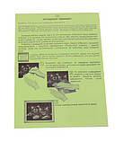 Гравюра А4 'Сербернар' (Золото) (Гр А4 02-11з), фото 2