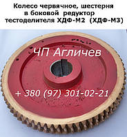 Головка до тесторобника ХДФ-М2, ХДФ-М3, ХДФ (ремонт), черв'ячна пара, шестерні на тестороздільник ХДФ М2