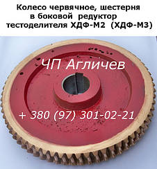 Головка до тесторобника ХДФ-М2, ХДФ-М3, ХДФ (ремонт), черв'ячна пара, шестерні на тестороздільник ХДФ М2