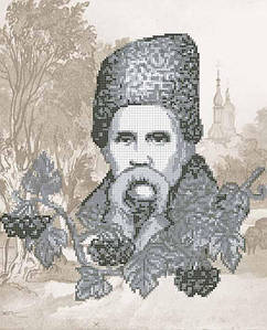 Тарас Шевченко БИС3-141 (А3)