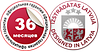 Віброрейка для бетону Vitals Master VBF 36-4s, фото 5