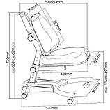 Дитяче ортопедичне крісло FunDesk SST4 Blue, фото 7