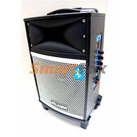 Портативна колонка Bluetooth у формі валізи AT-Q9 з USB+SD+FM+AUX+аккум. 12V (43х24х19 см)