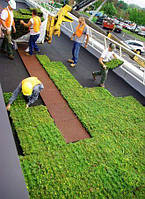 Модульное озеленение крыш Green Roofs, bring nature to your life