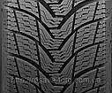 165/70R14 81T Premiorri Via Maggiorre, фото 2