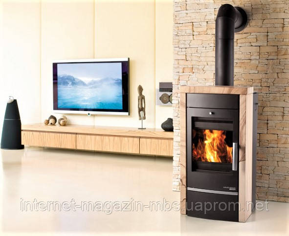 Піч із водяним контуром Haas+Sohn Visby