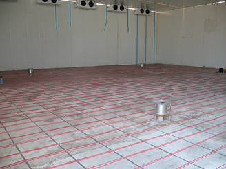 Основная и дублирующая системы