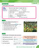 Family and Friends 2nd(second) Edition 6 Class Book / підручник 2-е видання, фото 10
