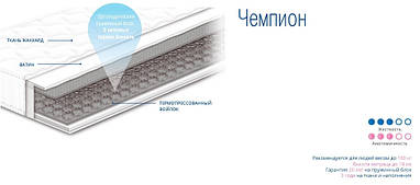 Матрас Чемпіон ТМ СОНЛАЙН