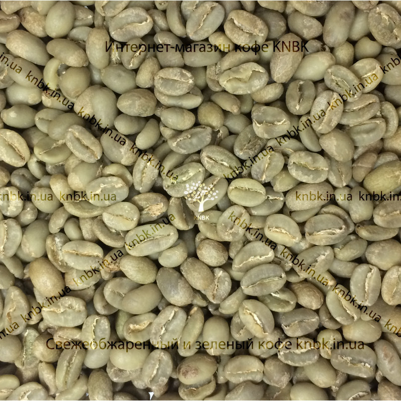 Арабіка Ефіопія Сідамо (Arabica Ethiopia Sidamo) 200г. ЗЕЛЕНА кава