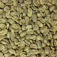 Арабіка Марагоджип Колумбія (Arabica Colombia Maragogype) 500г. ЗЕЛЕНИЙ кава