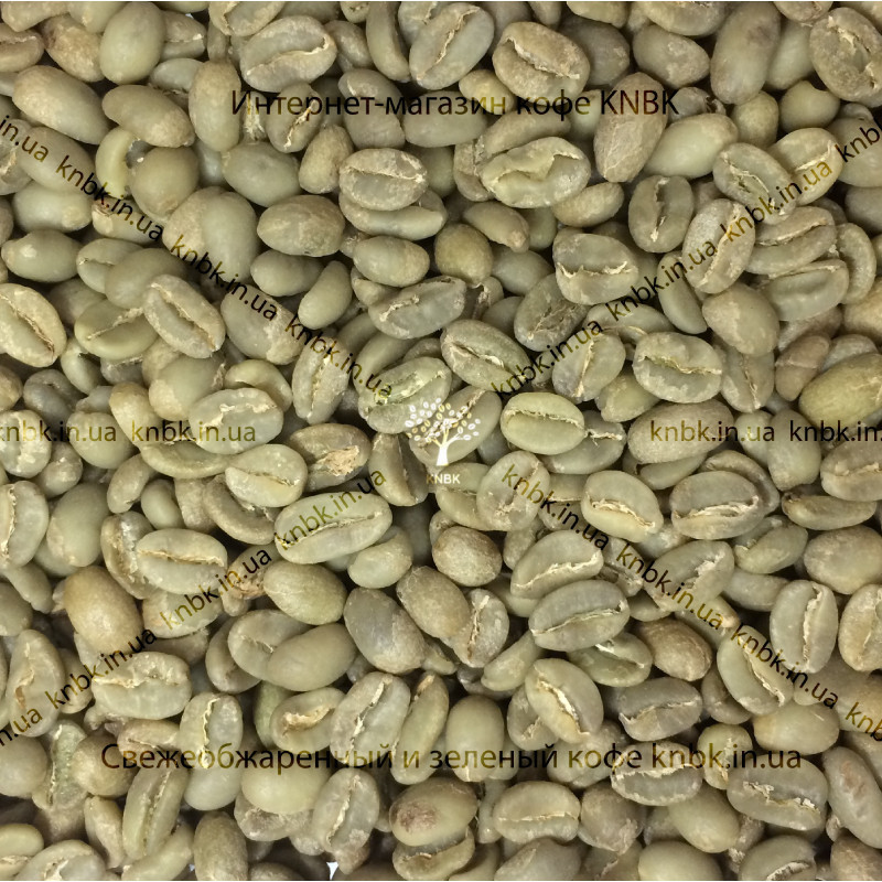 Арабіка Ефіопія Сідамо (Arabica Ethiopia Sidamo) 500г. ЗЕЛЕНА кава