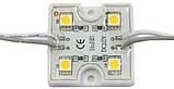 Світлодіодні модулі SMD5050 (4LED), фото 3