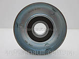 Ролик натяжителя залізний Рено Майстер II 1.9 dCi (без конд.) Caffaro (Польща) 30300, фото 2