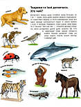 Тварини. Моя перша мальована енциклопедія, фото 4