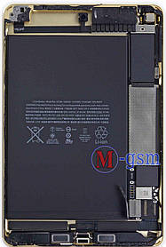 Аккумулятор для планшета  Apple iPad mini 4 / A1546 (5124 mAh) Original