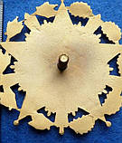 ОРДЕН СТАЛІНА, ПРОЕКТ, СУПЕР-муляж, фото 4