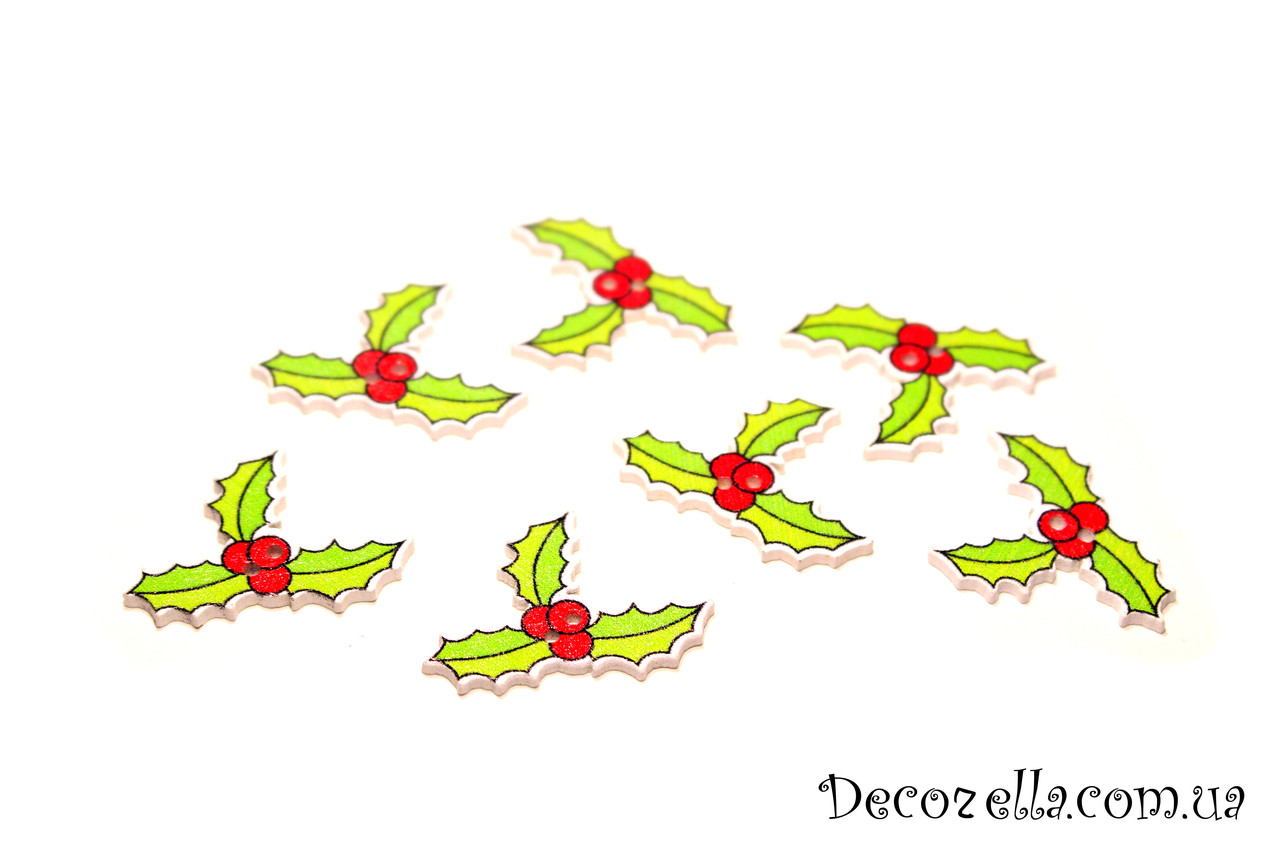 Гудзики (гостролист), фото 1