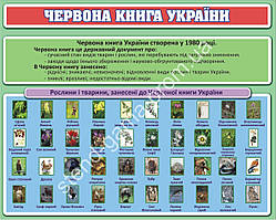 Стенд в кабінет біології "Червона книга України" 100х80 см