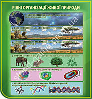 "Рівні організації живої природи" 80х 75 см