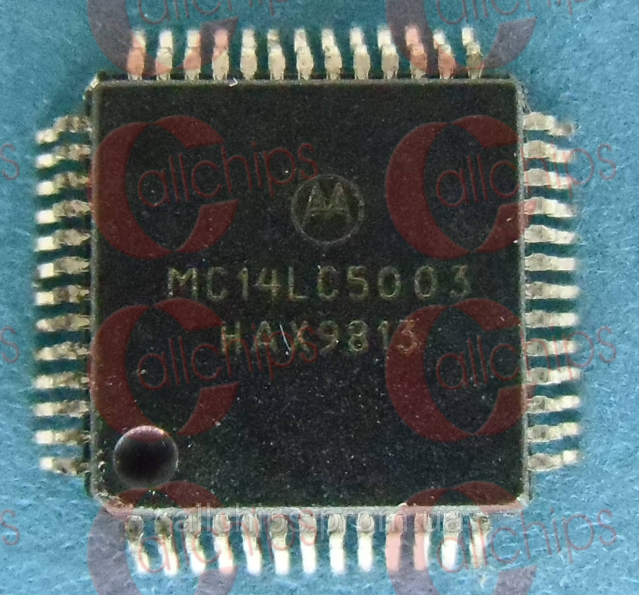 MOTOROLA MC14LC5003 QFP52 б/у 128 Segment LCD Drivers - фото 1 - id-p268669120