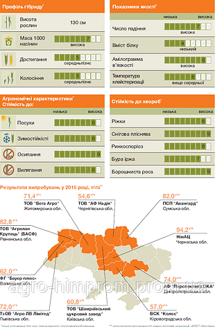 Насіння Жито озиме Бразетто KWS, Німеччина/ Жито озиме, фото 2