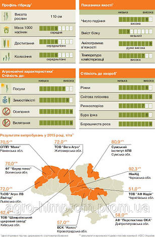 Насіння Жито озиме Гуттино KWS Німеччина/ Жито озиме Гуттіно, фото 2